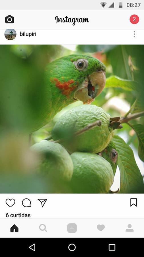 Casa Esmeralda Para Descanso Pirenópolis Екстериор снимка